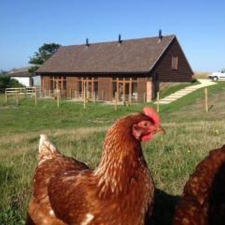 Bike Shed - Beautiful 1-Bed Cottage In Shorwell Esterno foto