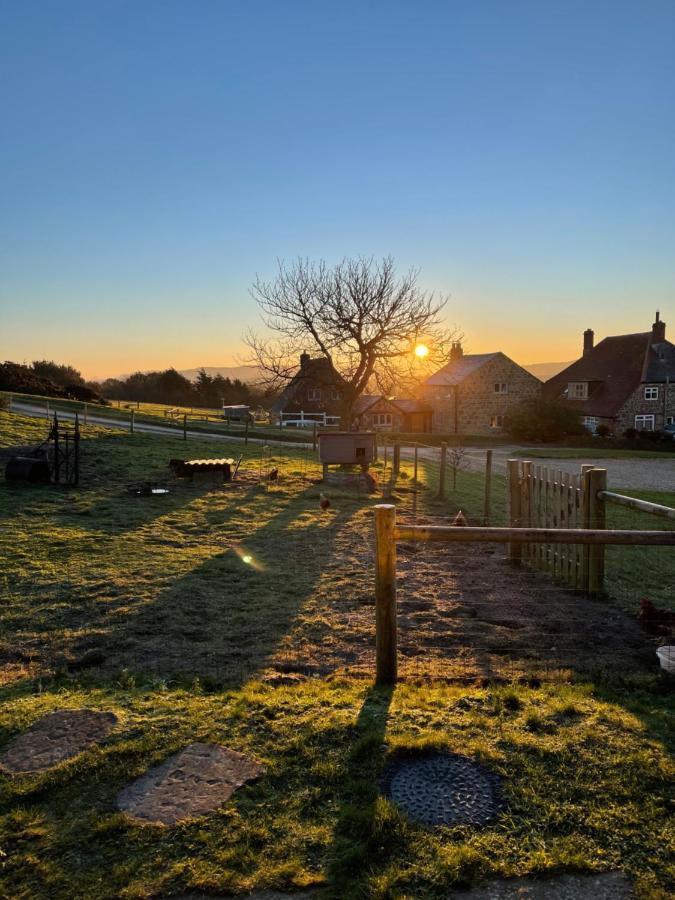 Bike Shed - Beautiful 1-Bed Cottage In Shorwell Esterno foto