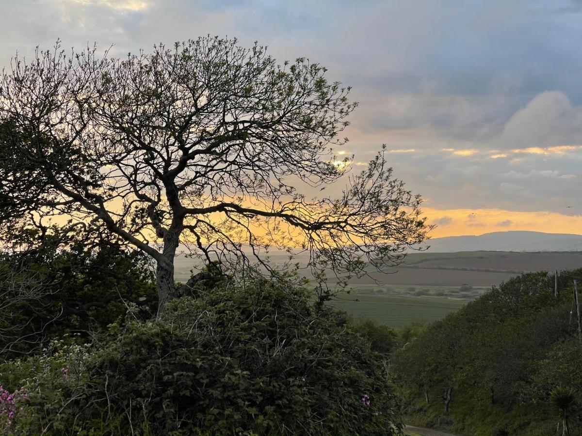 Bike Shed - Beautiful 1-Bed Cottage In Shorwell Esterno foto